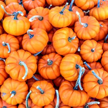 Autumn update pumpkins